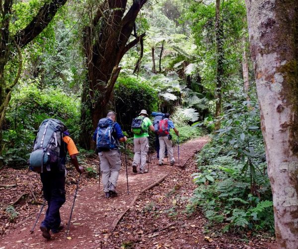 Climbing Kilimanjaro Hero Image